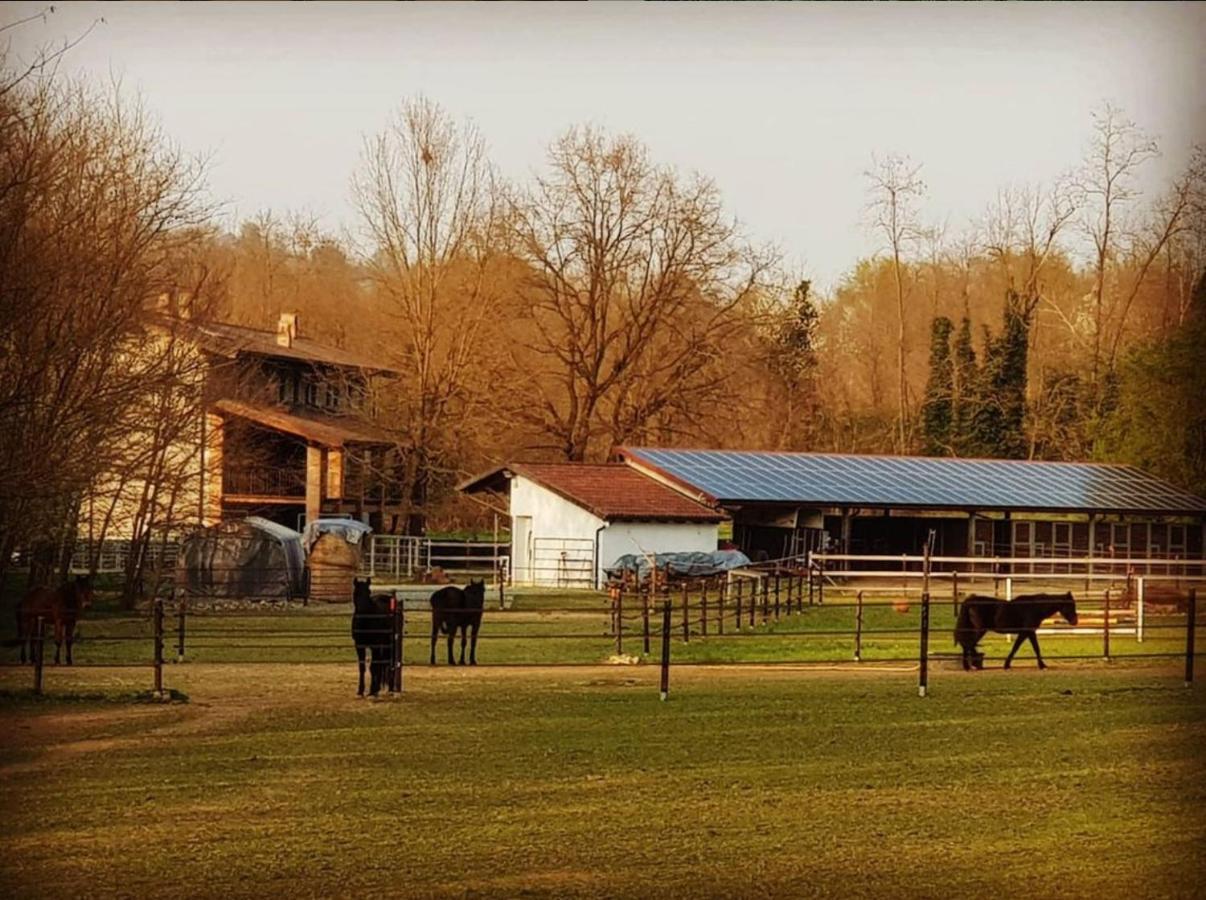 Cameloth B&B Settimo Rottaro ภายนอก รูปภาพ